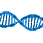 COVID-19 genetische aanleg